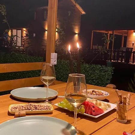 101 Gün Kiralık House Kayacık Tatil Evi